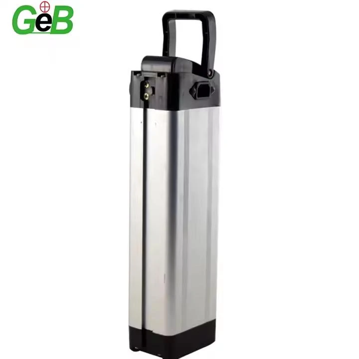 48V 30ABE EBICE BATERIYA