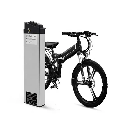 48v 1000w EBICE batareyasi
